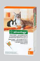 АДВАНТЕЙДЖ 40  - д/кошек и котят менее 4 кг.                        