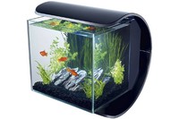 Tetra Аквариум Silhouette LED 12L
