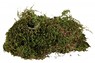 Мох для террариума TRIXIE, 200 гр