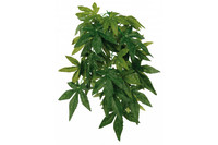 Растение для террариума TRIXIE - Abutilon,  D- 20 x 30 см