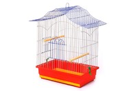 Клетка Корела  Лори для попугаев средних размеров, краска