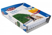 Трава для кошек 100 г, чашка