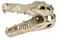 Грот для рыб TRIXIE - Череп крокодила, 14 см