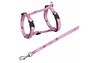 Шлея с поводком для котов "Mimi",  25–45 см 10 мм 1,20 м