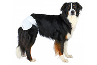 Памперсы для собак TRIXIE , XS-S (упак. 12 шт.) Обхват талии: 20-28 см