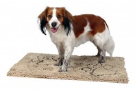 Коврик впитывающийTRIXIE ,  100х70см,  бежевый