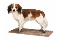 Коврик впитывающий TRIXIE,  70х50см,  коричневый