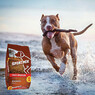 Сухий корм для собак Sportmix DOG High Protein 20 кг