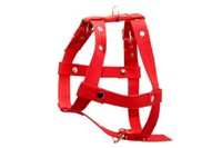 Шлея Эконом одинарная 45мм Фауна  КРАСНЫЙ