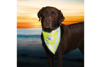 Бандана для собак TRIXIE, Шея окружность: 22-28 см
