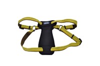 Coastal K9 Explorer шлея для собак c нагрудником, нейлон, 2,5смХ65-95 см , золотарник.