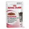 Royal Canin в соусе или желе, 1 x 85 g