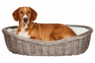 Лежак плетеный для собак TRIXIE,50см,серый