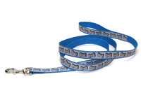 Coastal Lazer свето-отражающий поводок для собак, 2,5смХ1,8м , бирюзовый.