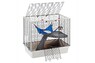 Ferplast CAGE FURAT BLACK Клетка для хорьков, с открывающейся крышей 78 x 48 x h 70 cm