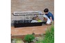 Ferplast  CAGE CASITA 120 WHITE (x1) Большая клетка для кроликов 119 x 58 x h 60 cm