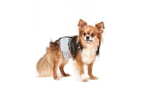 Пояс гигиенический для кобелей XS