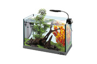 Ferplast  CAYMAN 40 OPEN  Небольшой открытый аквариум со светодиодной лампой и внутренним фильтром  41,5 x 21,5 x h 37,5 cm - 21 L