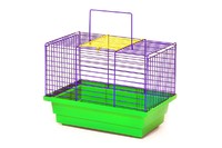 Клетка ПТАШКА Лори для содержания мелких птиц, краска