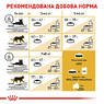 Cухий корм, для котів Royal Canin Bengal Adult віком від 12 місяців 2 кг
