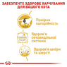 Cухий корм, для котів Royal Canin British Shorthair Adult віком від 12 місяців