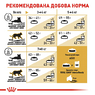 Вологий корм, для котів Royal Canin British Shothair віком від 12 місяців 0.85 кг