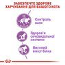 Cухий корм, для котів Royal Canin Sterilised віком від 12 місяців до 7 років