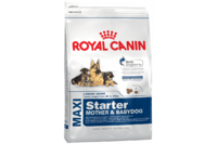 Royal Canin Maxi Starter Для щенков крупных размеров в период отъема до 2-месячного возраста 15 кг