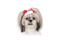 Кепка «Льняная» XS