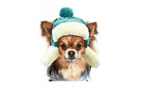 Шапка «Ушанка» XS