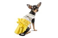 Платье «Ева» Одежда для собак XS