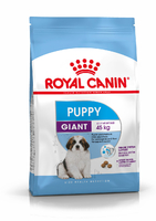 Royal Canin GIANT PUPPY корм для щенков от 5 до 8 месяцев