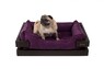 Лежак Harley and Cho Dreamer Brown + Ink Velvet, фиолетовый,  XS