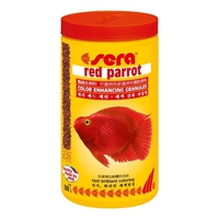 sera red parrot