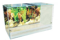 Террариум Природа 60х35х40