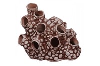 Декорация Природа Актиния 22х15х17 см