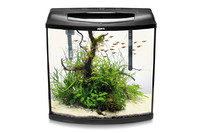 Аквариум AQUA EL PEARL HIGH 40 овальный (32L)