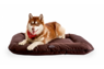 Лежаки двухсторонние Harley and Cho Lounger Brown Waterproof, коричневый, L