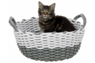TRIXIE корзина плетеная"Nabou"с подушкой,45см,серый/белый